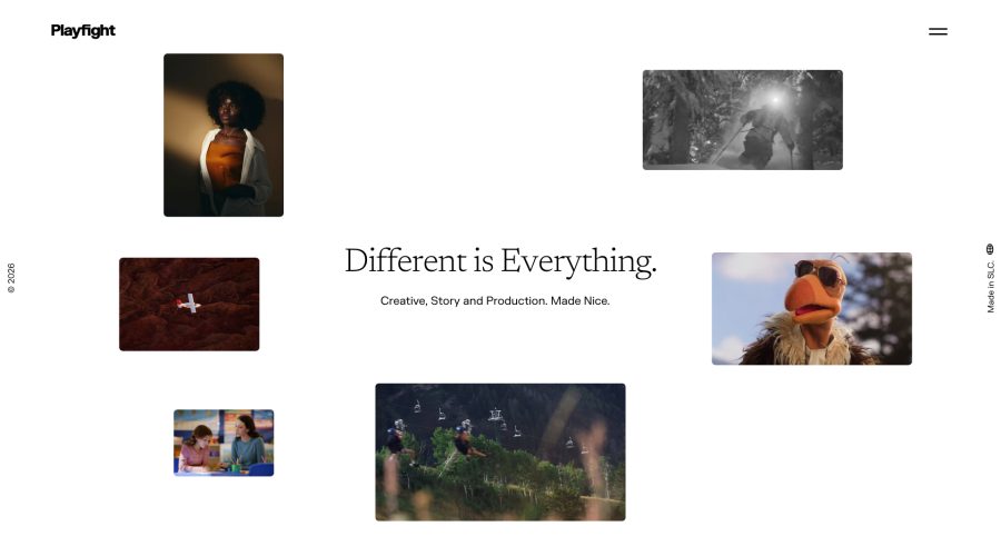 Playfight website